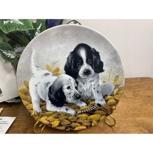 Vintage Knowles Field Puppies Plate English Setters Dog Box‎ COA Lynn Kaatz